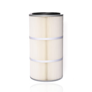 BCS1384SB0C Cartridge Filter